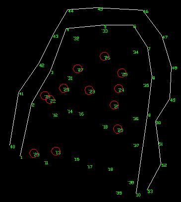 Auto drawn polylines and multi-copied circle